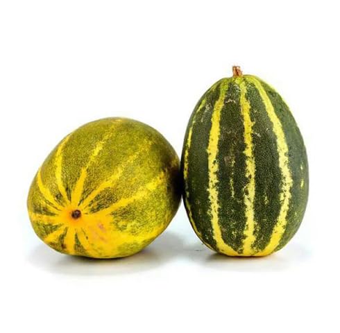 Green Yellow Cucumber vegetable seeds vegetable seeds for Home Gardening, Natural Home Farming for kitchen garden planting