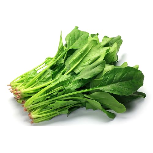 Green Spinach vegetable seeds for Home Gardening, Organic Raised Bed Garden Favorite for kitchen garden planting