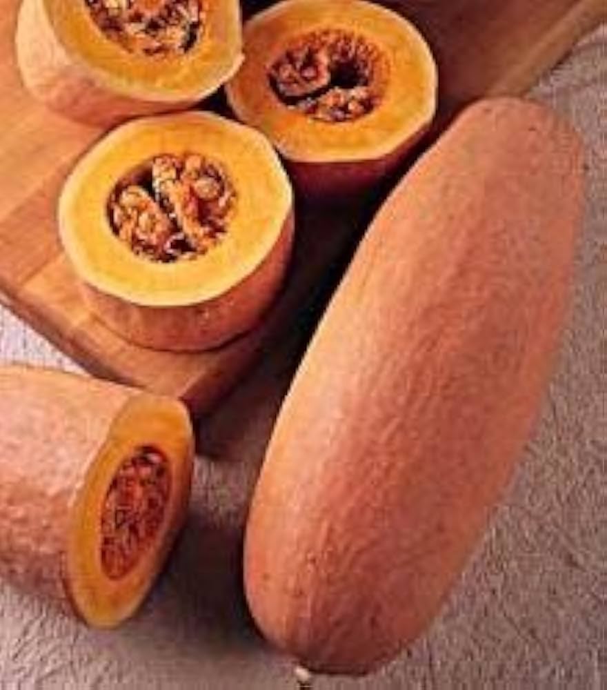 squash vh giant pink banana Fruit seeds