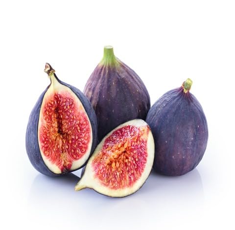 Brown Ficus Carica fruit seeds for organic garden planting
