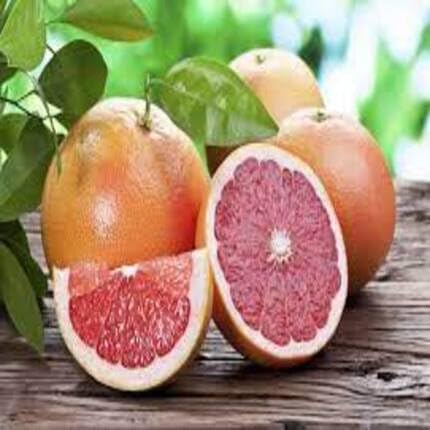 red pomelo citrus fruit Fruit Seeds organic garden seeds