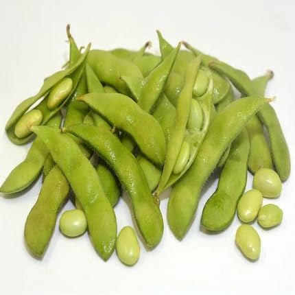 Green Soyabean vegetable seeds for Home Gardening, Easy Grow Culinary Garden Selection for kitchen garden planting