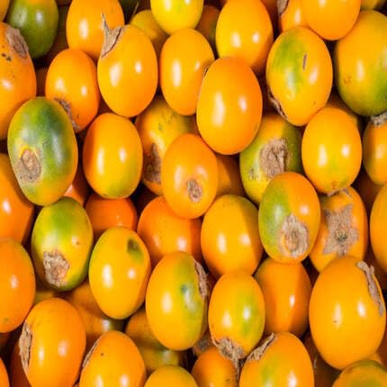 Lulo Orange fruit seeds for organic garden planting