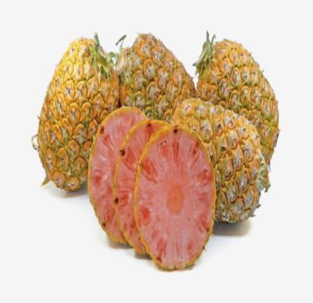 pink pineapple fruit Fruit Seeds for Home Planting Premium Germination Healthy Harvest Growing