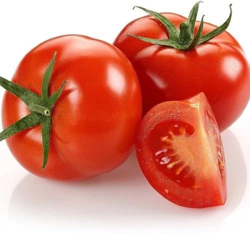 Red Tomato vegetable seeds for Home Gardening, Organic Raised Bed Garden Favorite Premium for kitchen garden planting