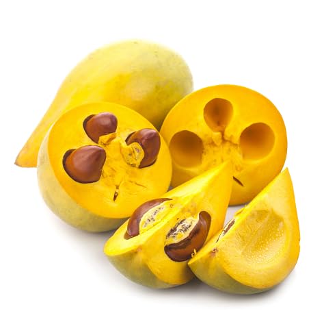 yellow lucuma fruit Fruit Seeds organic garden seeds