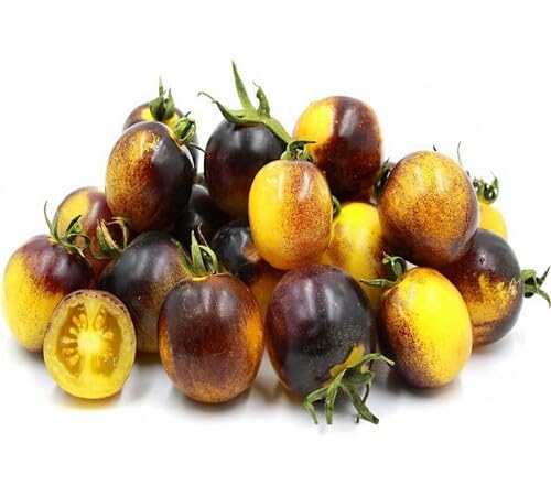 Yellow Purple Tomato vegetable seeds - Heirloom, Organic, Non Gmo Garden Seeds for kitchen garden planting
