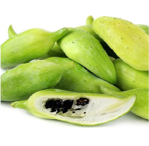 Green Cyclanthera vegetable seeds vegetable seeds for Home Gardening, Healthy Culinary Garden for kitchen garden planting