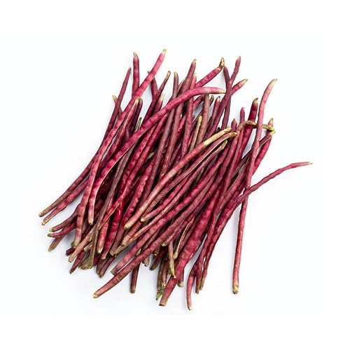 Maroon Bean vegetable seeds for Home Gardening, Nutritious Backyard Harvest Collection for kitchen garden planting