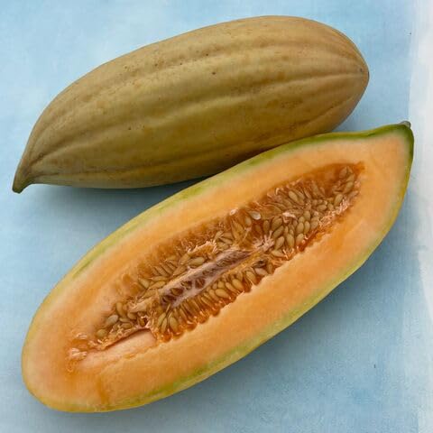 Banana Melon Fruit Seeds organic garden seeds