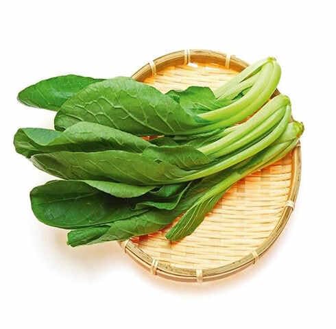 Green Komatsuna vegetable seeds - Heirloom, Organic, Non Gmo Garden Seeds for kitchen garden planting