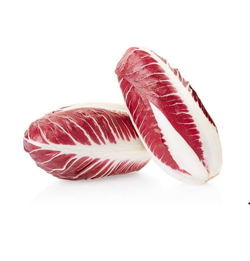 Red Endives vegetable seeds - Heirloom, Organic, Non Gmo Garden Seeds for kitchen garden planting