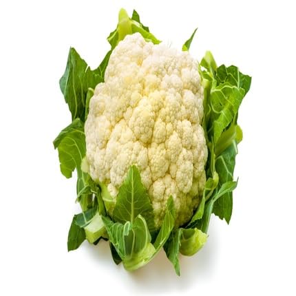 White Cauliflower vegetable seeds for Home Gardening, Healthy Seasonal Vegetable Planting for kitchen garden planting