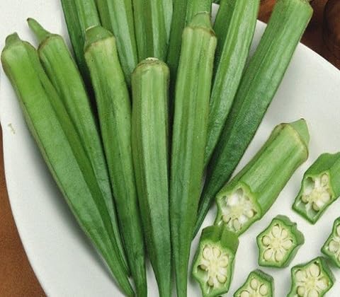 Green Bhendi vegetable seeds vegetable seeds for Home Gardening, Easy Grow Farm Fresh Produce for kitchen garden planting
