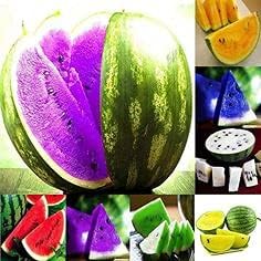 mixed watermelon fruit Fruit Seeds organic garden seeds