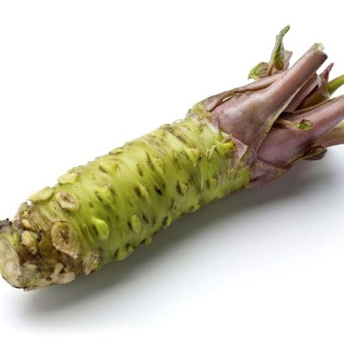 Green Wasabi Vegetable Seeds Heirloom, Non-GMO for Home Garden Planting