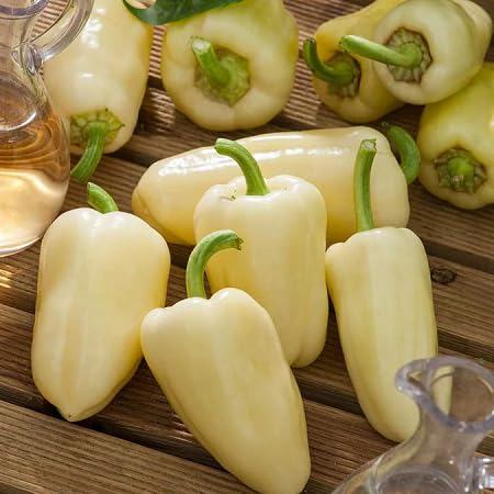 Chili Pepper for Growing Yellow vegetable seeds for Home Gardening, Fast Growing Home Garden for kitchen garden planting