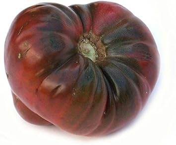 tomato black brandywine tomatoes Fruit Seeds organic garden seeds