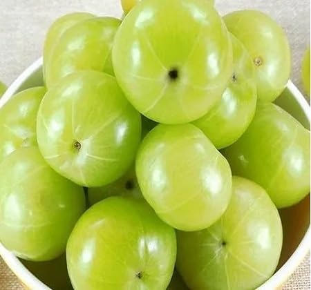 Green Gooseberry Fruit fruit seeds for organic garden planting