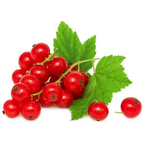 Red Grosella Fruit Seeds