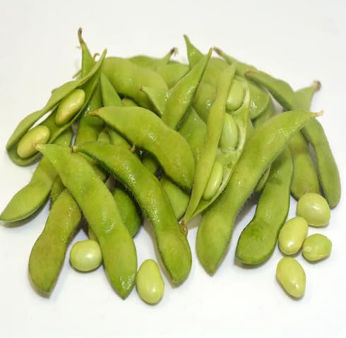 Green Soybean vegetable seeds for Home Gardening, Fast Growing Home Garden Variety for kitchen garden planting