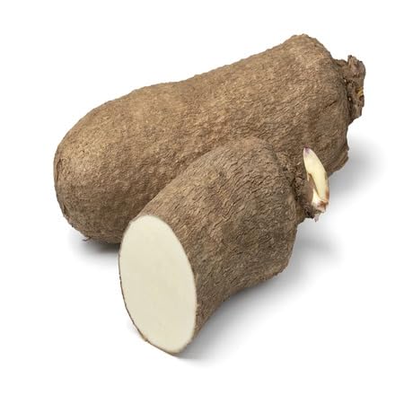 Yam vegetable seeds for Home Gardening, Easy Grow Culinary Garden Selection Premium for kitchen garden planting