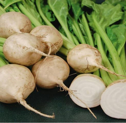 White Beetroot vegetable seeds - Heirloom, Organic, Non Gmo Garden Seeds for kitchen garden planting