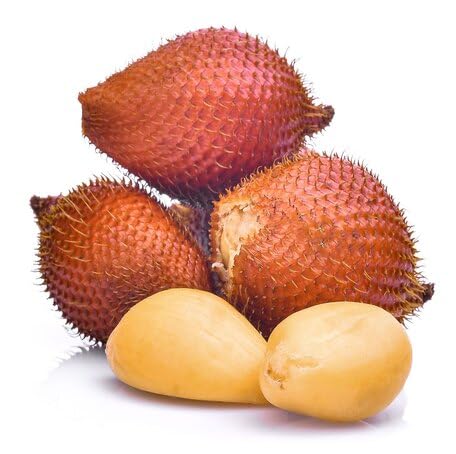 Brown Salak fruit seeds for organic garden planting