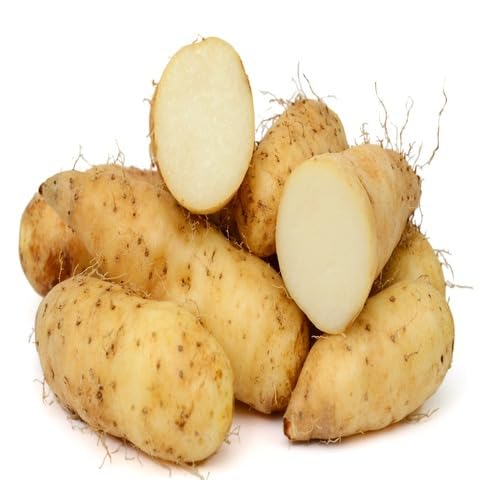 Brown Yam vegetable seeds vegetable seeds for Home Gardening, Fresh Seasonal Vegetable Planting for kitchen garden planting