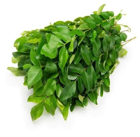 Green Curry Leaf vegetable seeds - Heirloom, Organic, Non Gmo Garden Seeds for kitchen garden planting