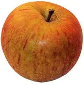 orange apple fruit for planting sweet and tangy apples your garden Fruit seeds