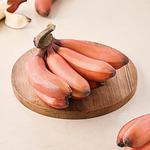 Brown Banana Fruit fruit seeds for organic garden planting