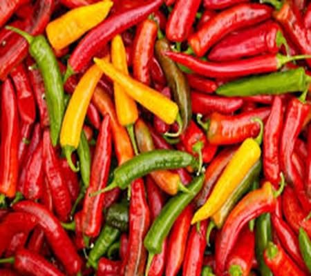 Chili vegetable seeds - Heirloom, Organic, Non Gmo Garden Seeds for kitchen garden planting
