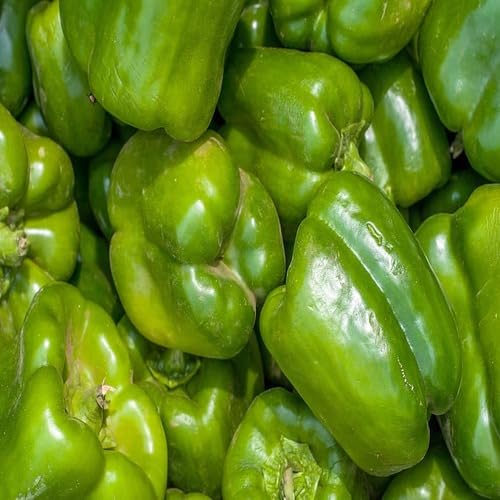 Paprika vegetable seeds - Heirloom, Organic, Non Gmo Garden Seeds for kitchen garden planting