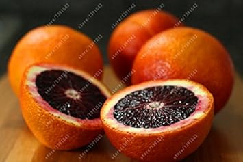 orange fruit Fruit Seeds organic garden seeds