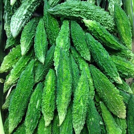 bittergourd vegetable seeds for Home Gardening, Healthy Seasonal Vegetable Planting for kitchen garden planting