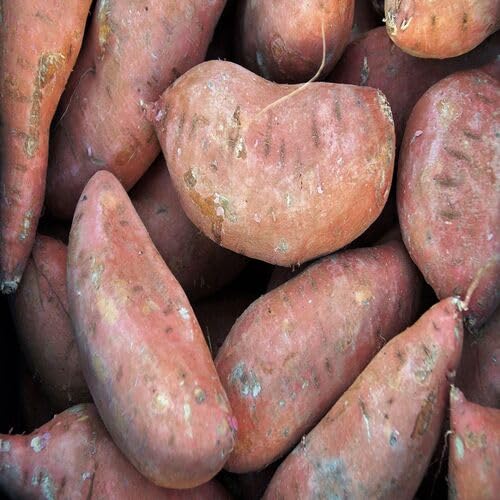 Brown Sweet Potato vegetable seeds - Heirloom, Organic, Non Gmo Garden Seeds for kitchen garden planting