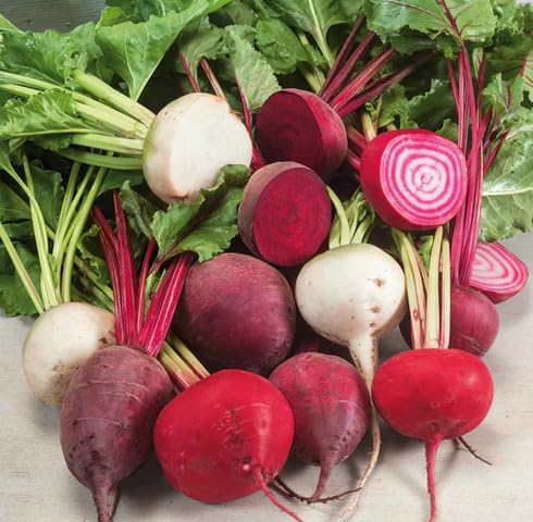 Mixed Beetroot vegetable seeds for Home Gardening, Easy Grow Culinary Garden Selection for kitchen garden planting