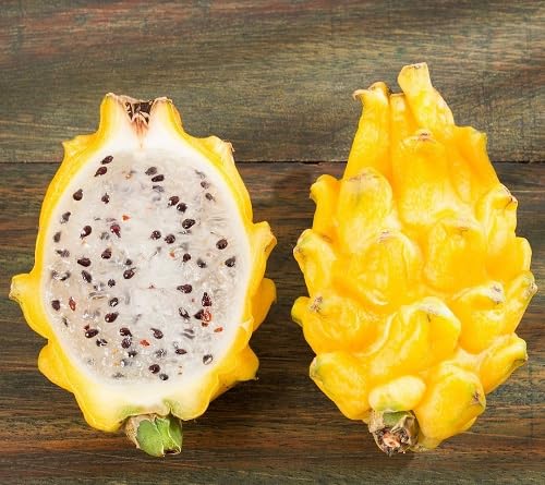 Yellow Pitaya Fruit Seeds Natural Backyard Planting Choice for Fresh Harvest Premium