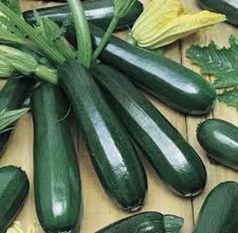Green Zucchini vegetable seeds - Heirloom, Organic, Non Gmo Garden Seeds for kitchen garden planting