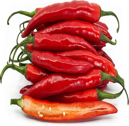 Red Chile vegetable seeds - Heirloom, Organic, Non Gmo Garden Seeds for kitchen garden planting