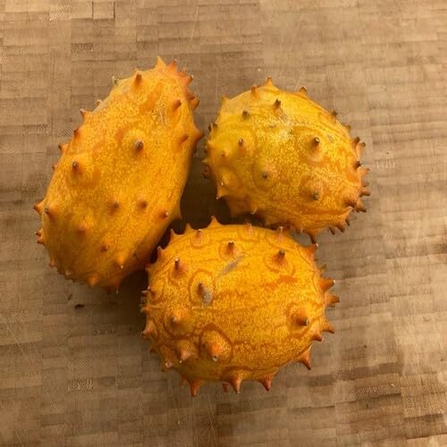 Yellow Horned Cucumber vegetable seeds - Heirloom, Organic, Non Gmo Garden Seeds for kitchen garden planting