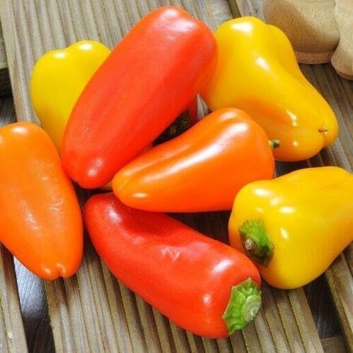 Mixed Habanero Pepper . vegetable seeds - Heirloom, Organic, Non Gmo Garden Seeds for kitchen garden planting