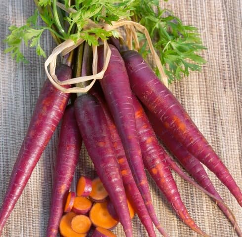 Purple Carrot vegetable seeds vegetable seeds for Home Gardening, Healthy Culinary Garden Variety for kitchen garden planting