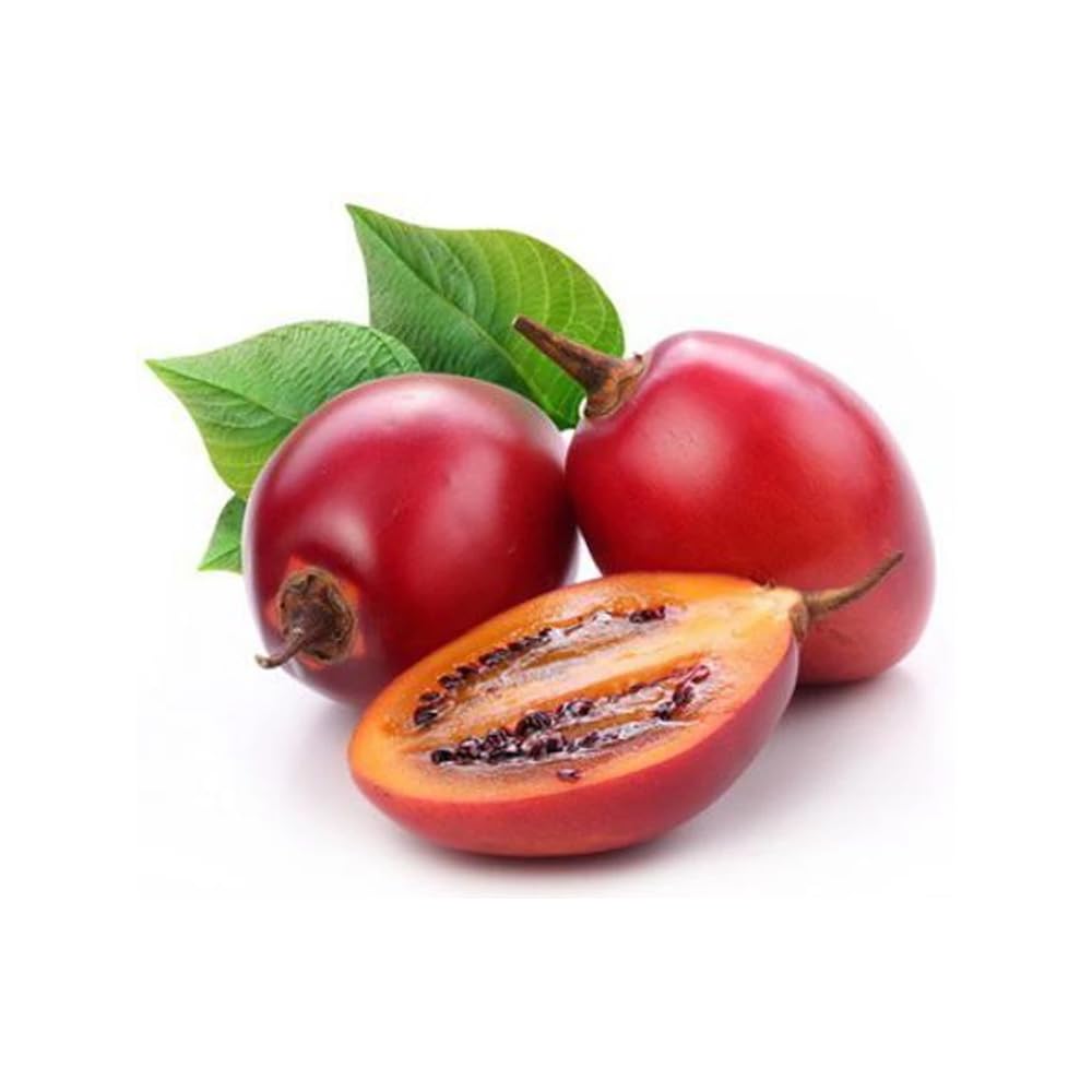 Red Tamarillo vegetable seeds - Heirloom, Organic, Non Gmo Garden Seeds for kitchen garden planting