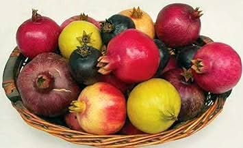 Mixed Pomegranate Fruit Growing Sweet And Sour Fruits For Fruit Seeds