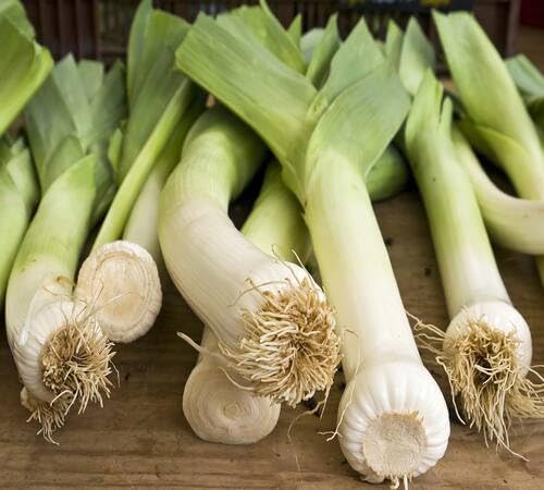 Leek vegetable seeds - Heirloom, Organic, Non Gmo Garden Seeds for kitchen garden planting