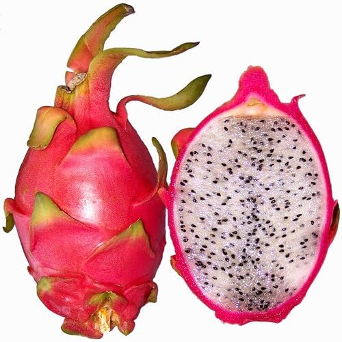 Pink Dragon fruit seeds for organic garden planting