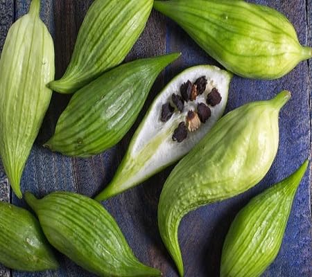 Achocha vegetable seeds Green vegetable seeds for Home Gardening, Heirloom, Non-GMO, High Premium for kitchen garden planting