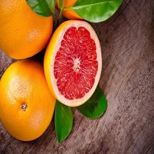 Grapefruit Fruit Seeds Fruit Seeds for Fruit Premium